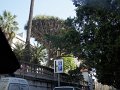k-DSC02902