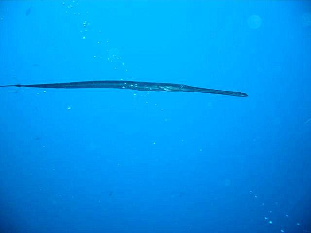T-CIMG3579.JPG