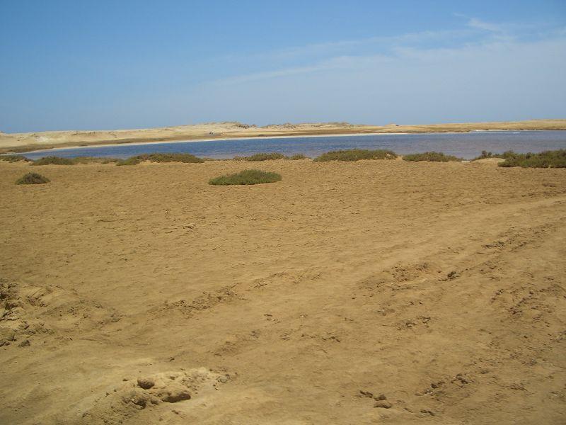 T-CIMG4055.JPG