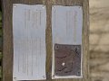 k-DSC01242